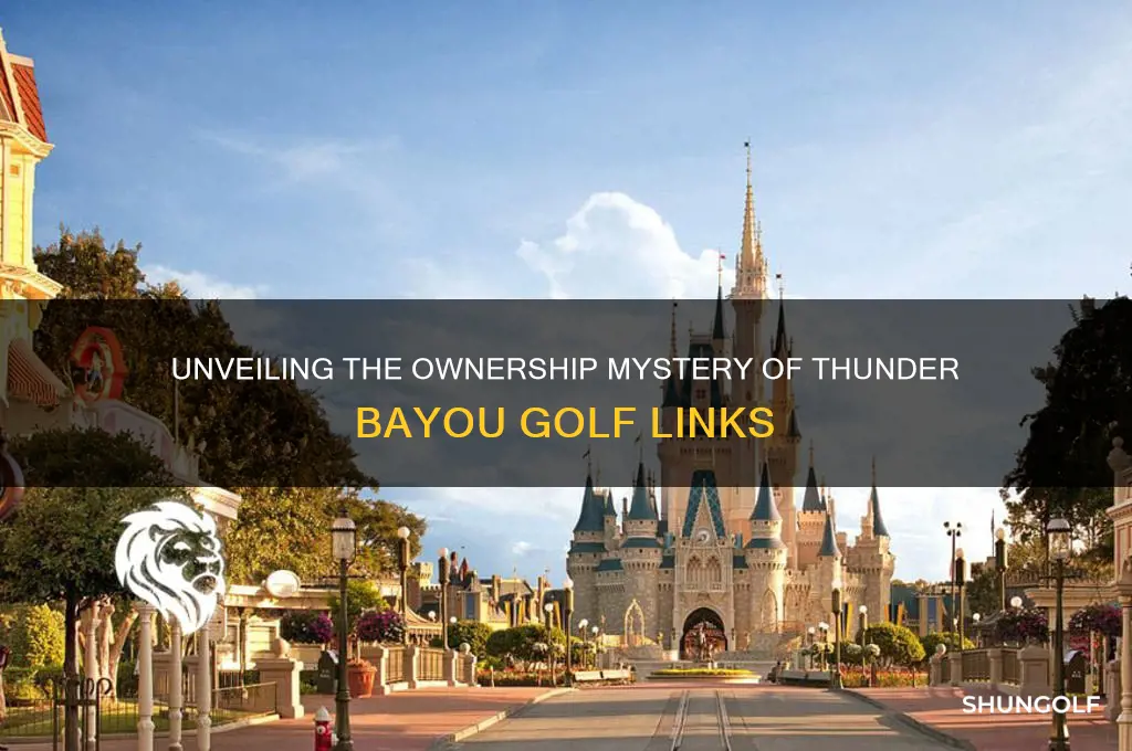 who owns the thunder bayou golf links