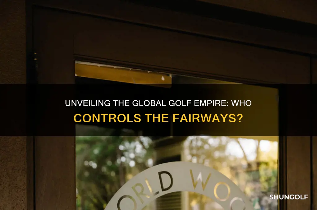 who owns the world