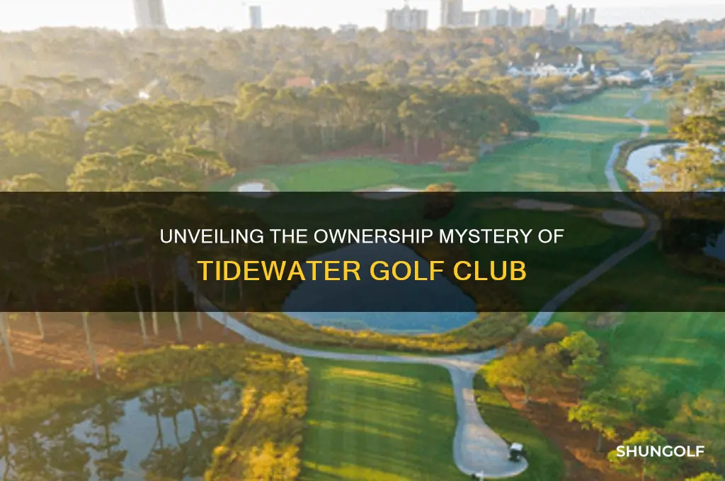 who owns tidewater golf club