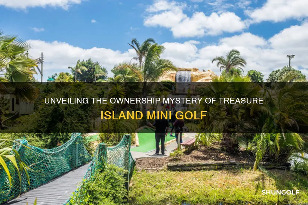 who owns treasure island mini golf