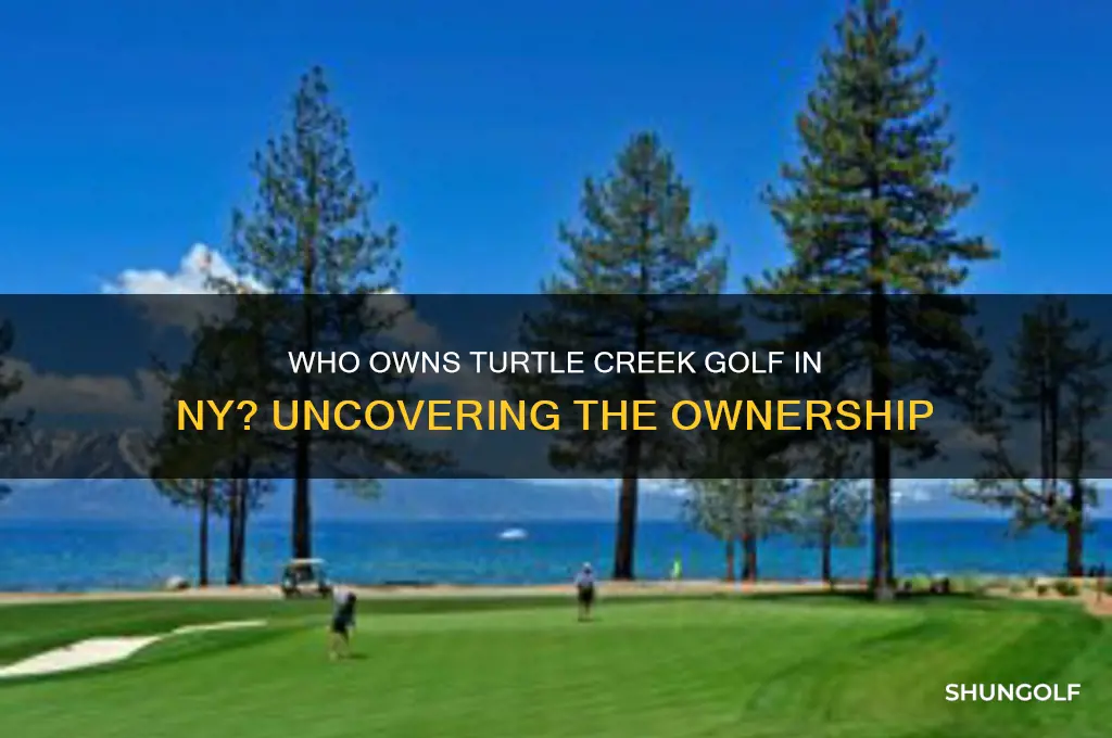 who owns turtle creek golf in ny