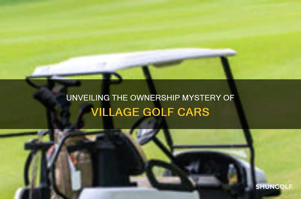 who owns village golf cars