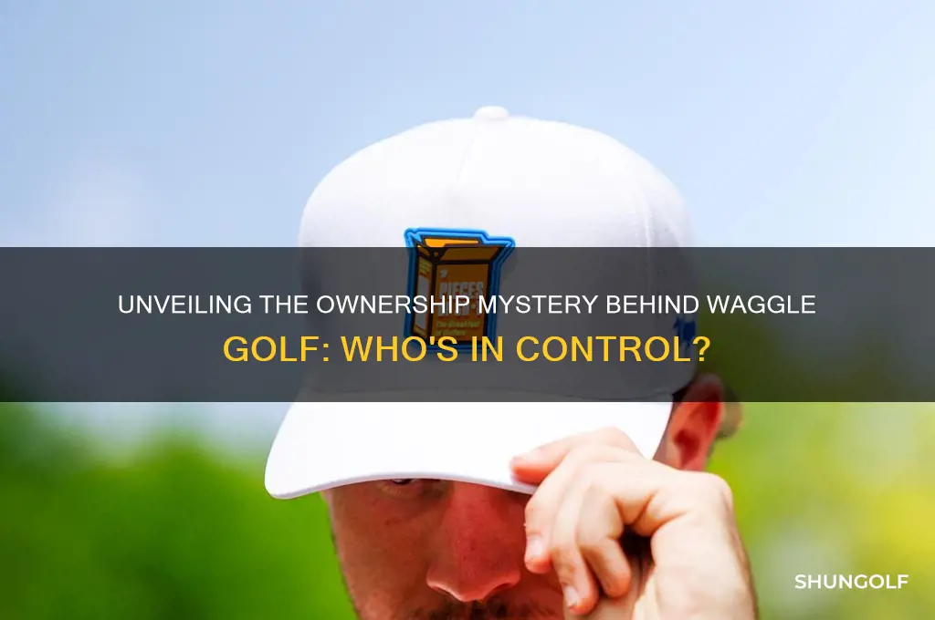 who owns waggle golf