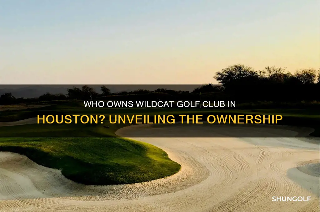 who owns wildcat golf club in houston