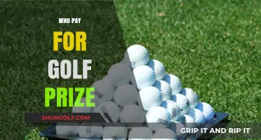 Who Foots the Bill? Uncovering Golf Prize Funding Sources