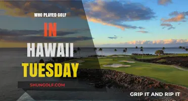 Teeing Off in Paradise: Golf Stars Shine in Hawaii