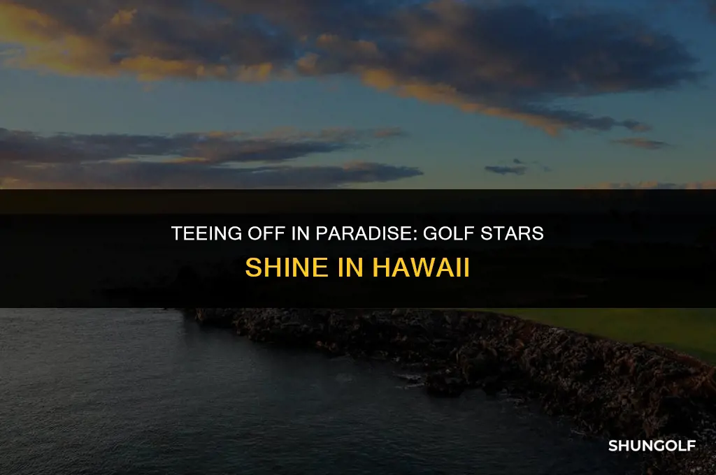who played golf in hawaii tuesday