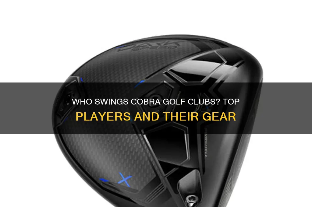 who plays cobra golf clubs