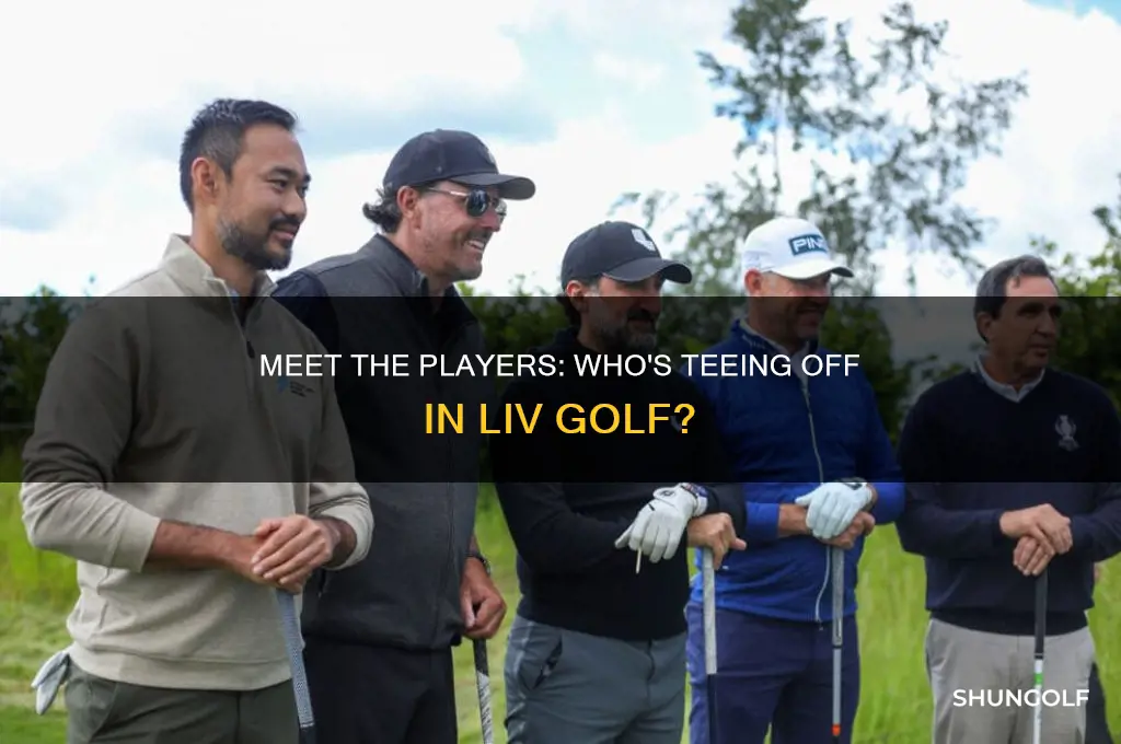 who plays for liv golf
