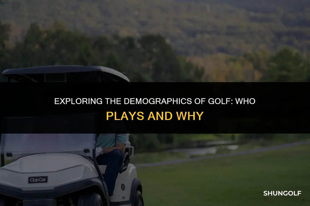 who plays golf statistics