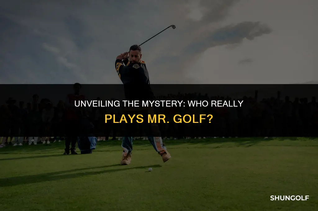 who plays mr golf