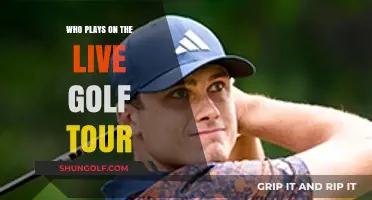 Exploring the Dynamic World of Professional Golf Tours