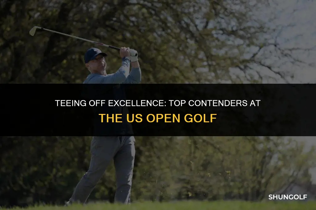 who plays well in the us open golf