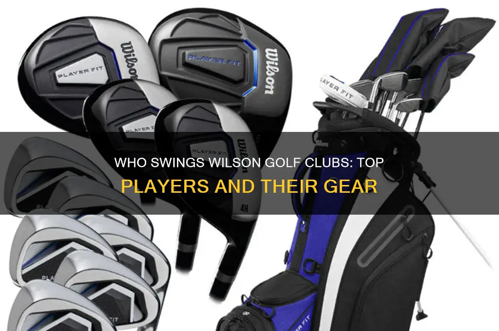 who plays wilson golf clubs