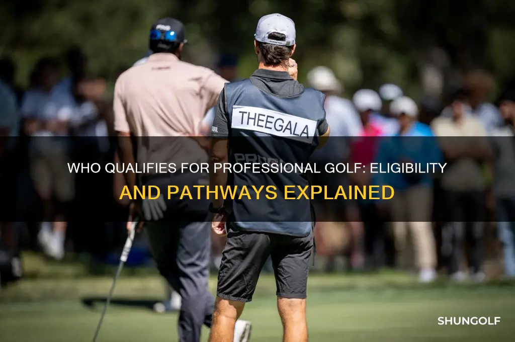 who qualifies for professional golf