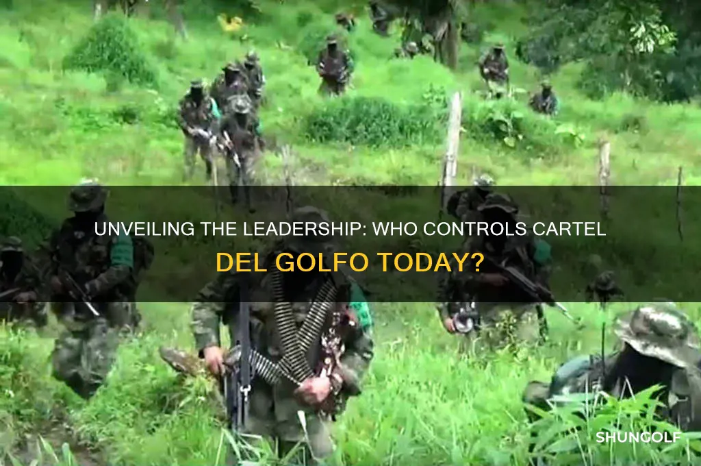 who runs cartel del golfo
