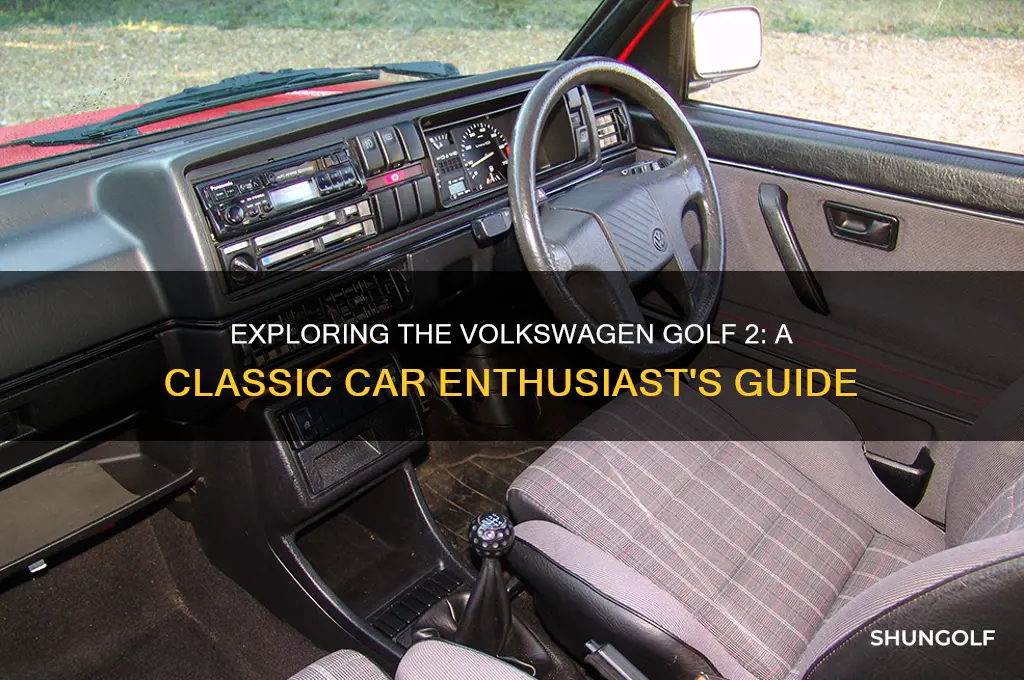 who see golf 2