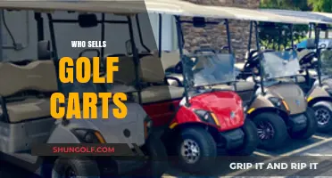 Where to Buy Golf Carts: Top Sellers and Retailers Guide
