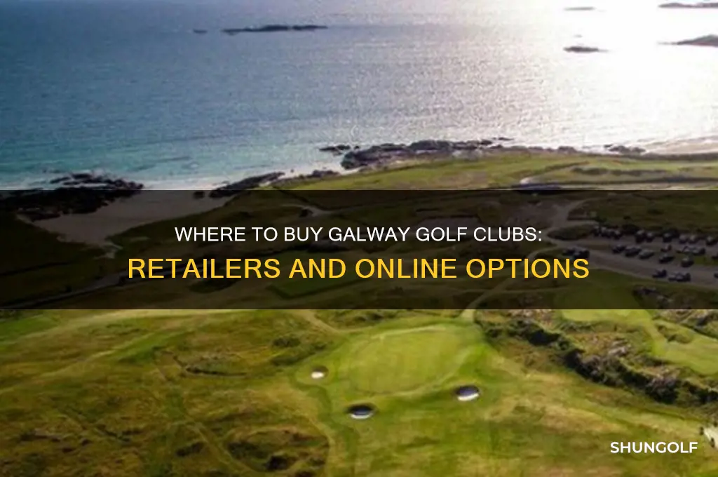 who sells the golf clun brand galway