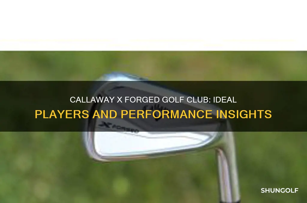 who should play the callaway x forged golf club