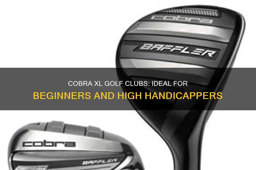 who should use cobra xl golf clubs