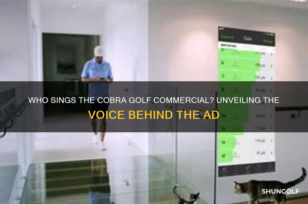 who sings the cobra golf commercial