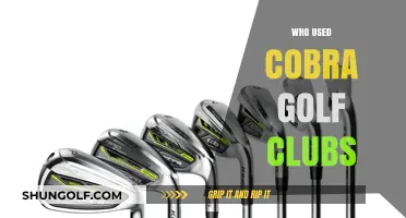 Famous Golfers Who Swung Cobra Clubs: A Comprehensive Overview