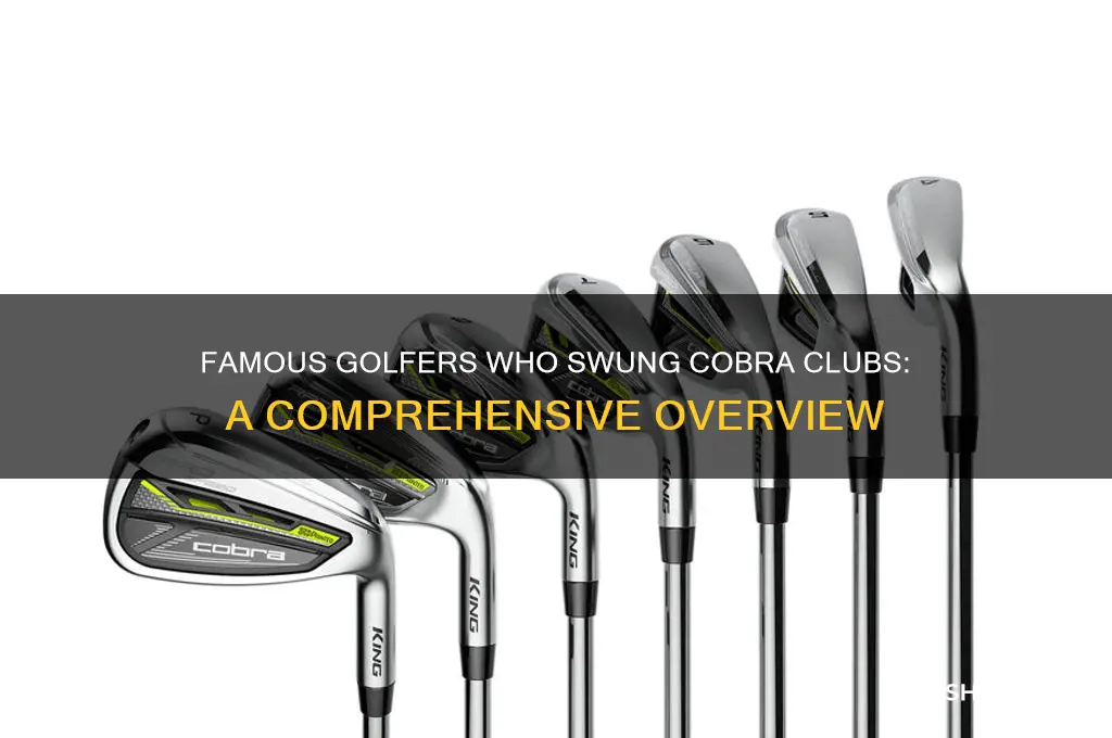 who used cobra golf clubs