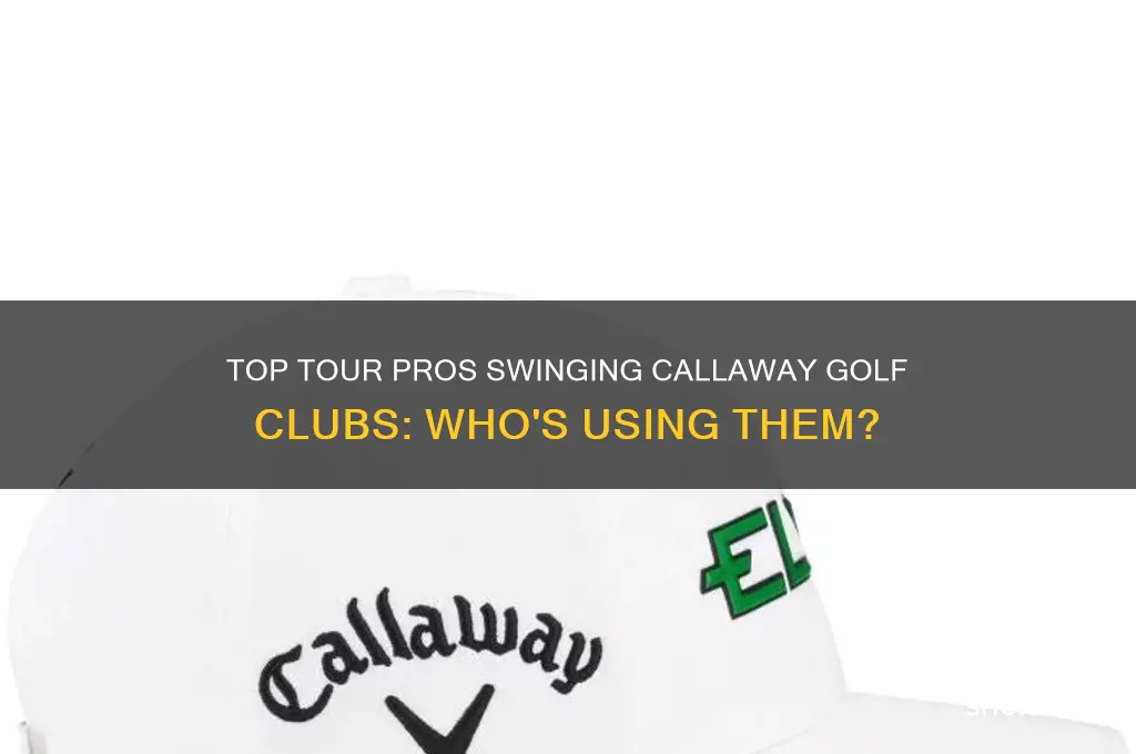 who uses callaway golf clubs on tour