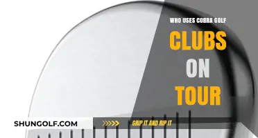 Top Tour Pros Swinging Cobra Golf Clubs: Who's Using Them?