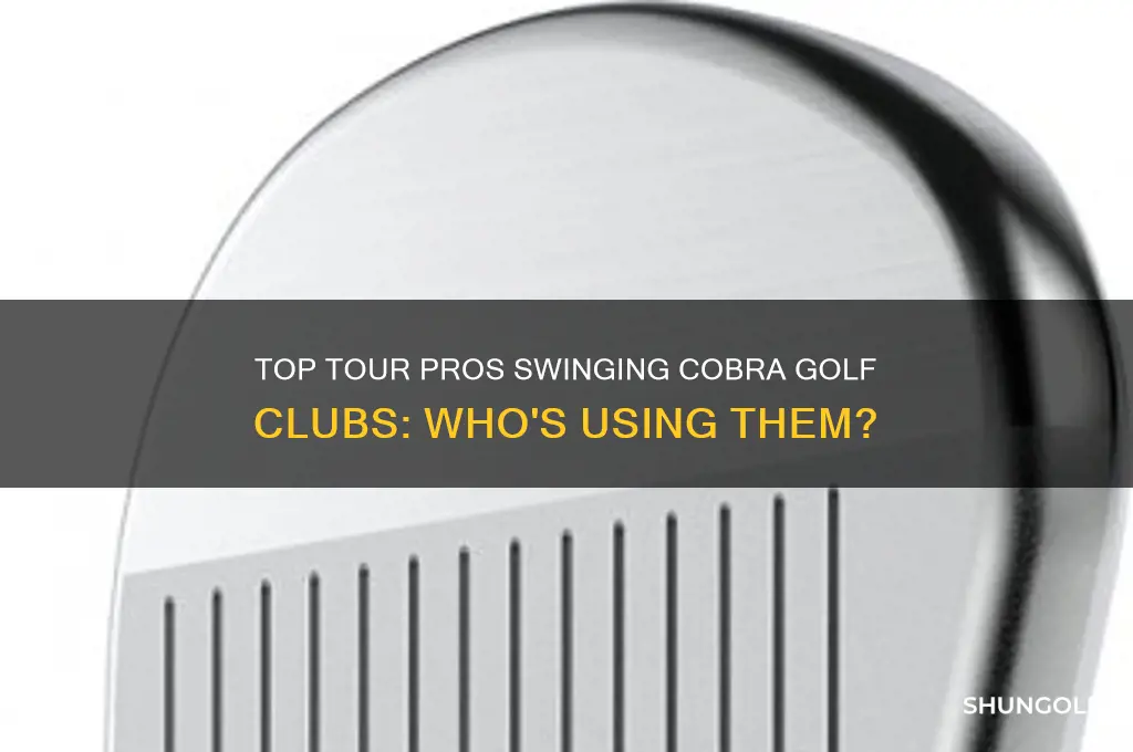 who uses cobra golf clubs on tour