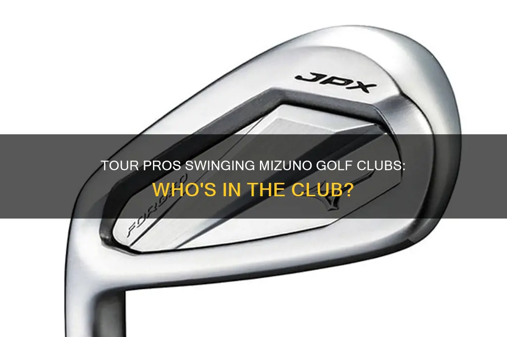who uses mizuno golf clubs on tour