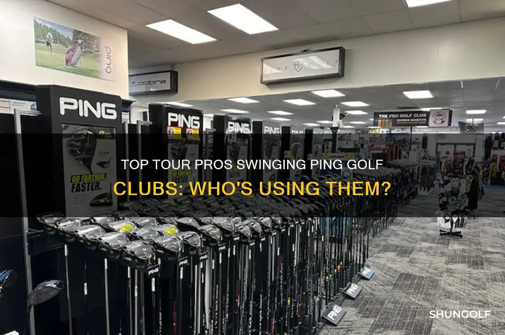 who uses ping golf clubs on tour
