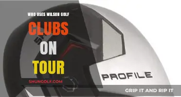 Tour Pros Swinging Wilson Golf Clubs: Who's Using Them?