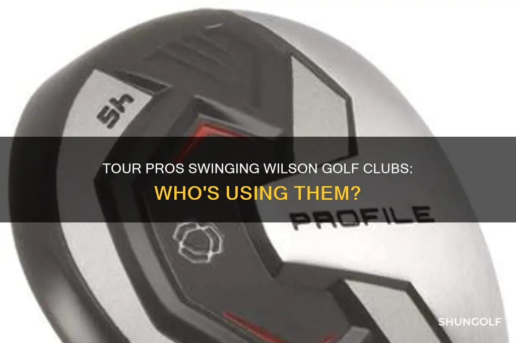 who uses wilson golf clubs on tour
