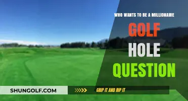 Mastering the Millionaire Golf Hole: Unraveling the Ultimate Question
