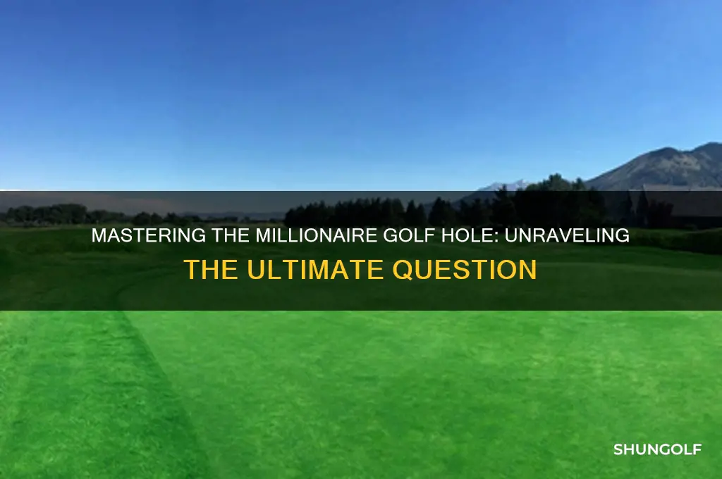 who wants to be a millionaire golf hole question