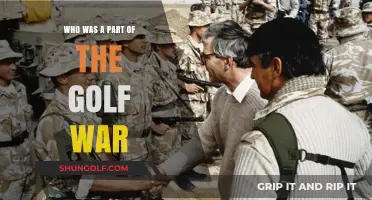 Key Players and Nations Involved in the Gulf War Conflict
