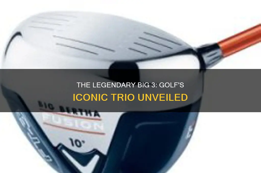 who was the big 3 in golf