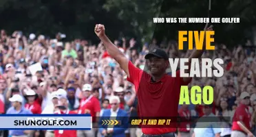 Unveiling the Top Golfer Dominating the Greens Five Years Ago