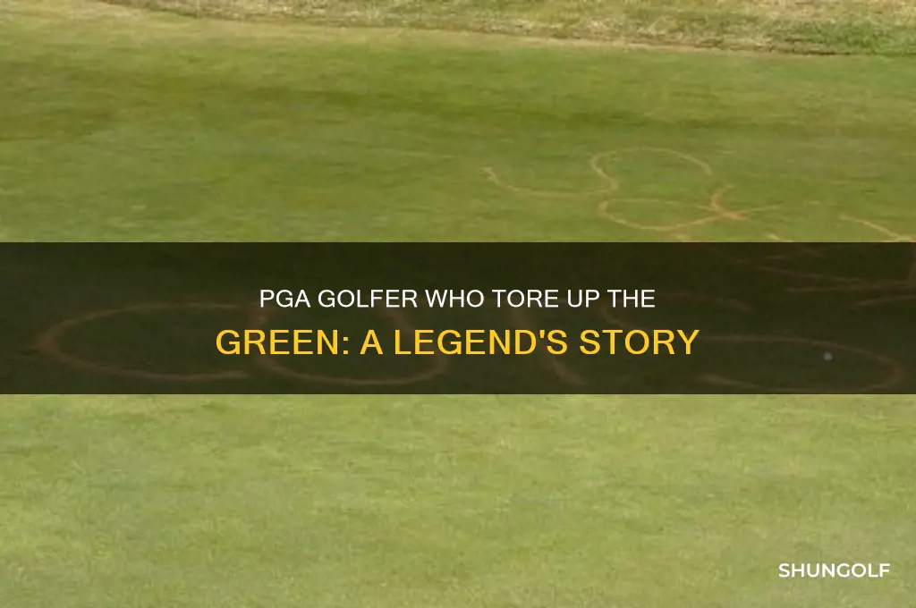 who was the pga golfer that tour up the greeng