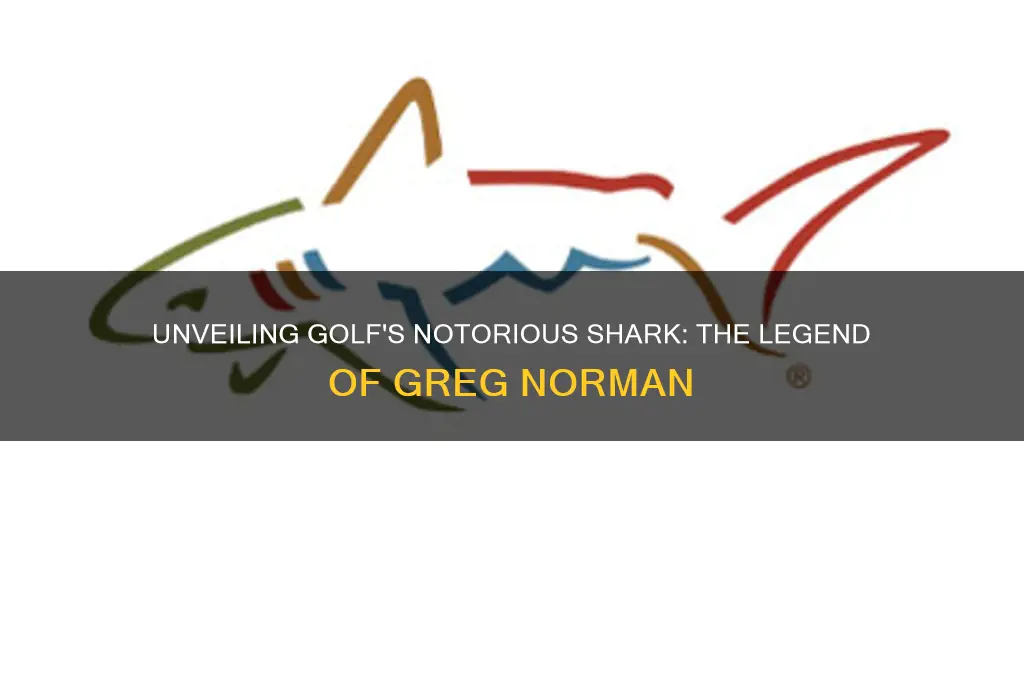 who was the shark in golf