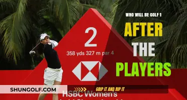 The Players Championship Aftermath: Who Will Rise to Golf's Top Spot?