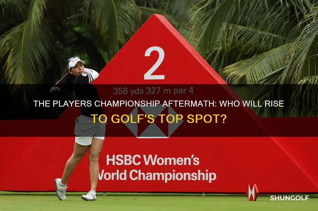 who will be golf 1 after the players