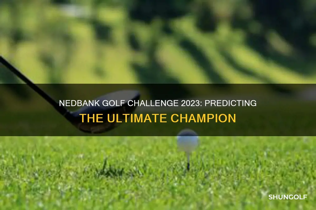 who will win the nedbank golf challenge