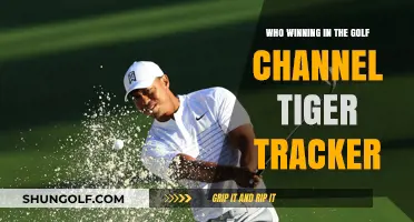 Tiger Tracker Update: Who's Leading the Race on the Golf Channel?