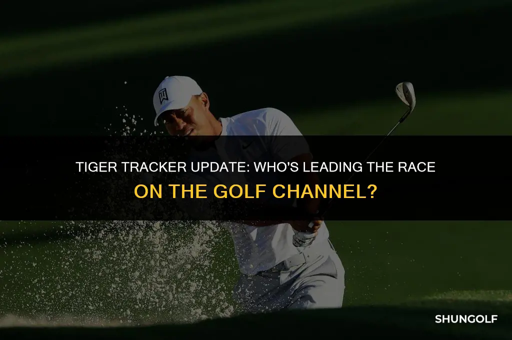 who winning in the golf channel tiger tracker