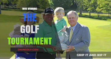 Swing for the Fences: Who's Clinched the Golf Tournament?