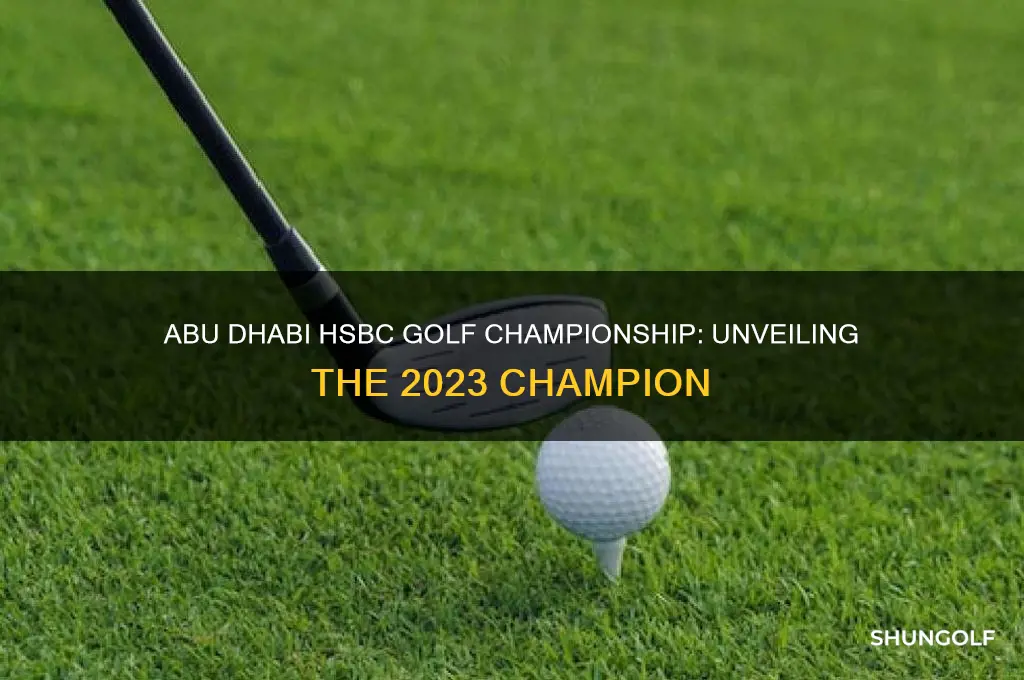 who won abu dhabi hsbc golf championship