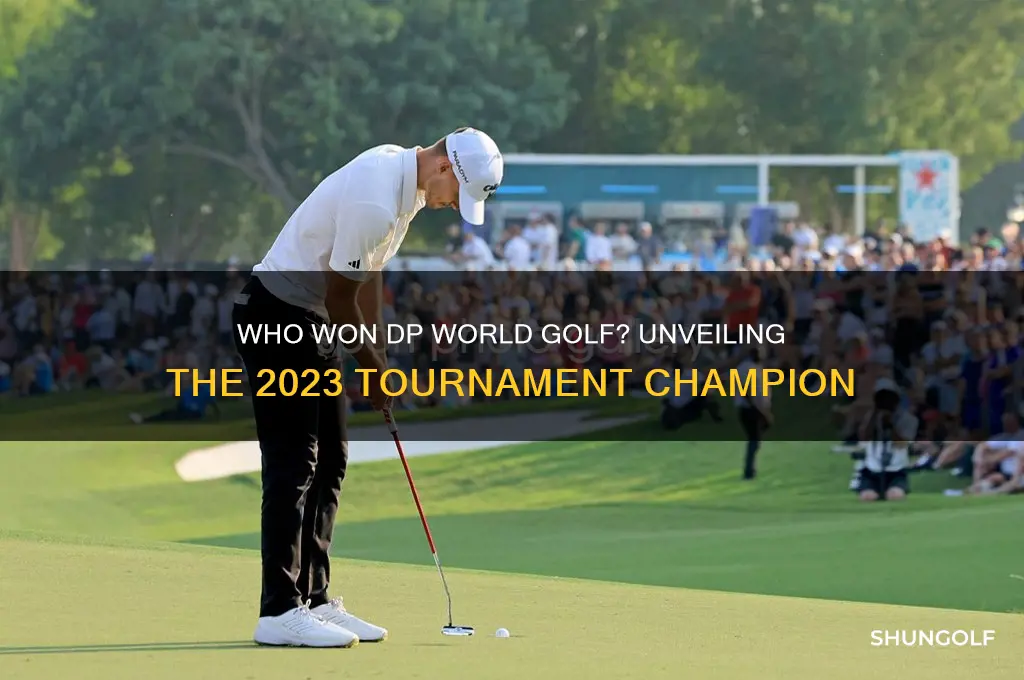 who won dp world golf